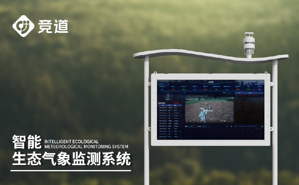 負氧離子監(jiān)測儀