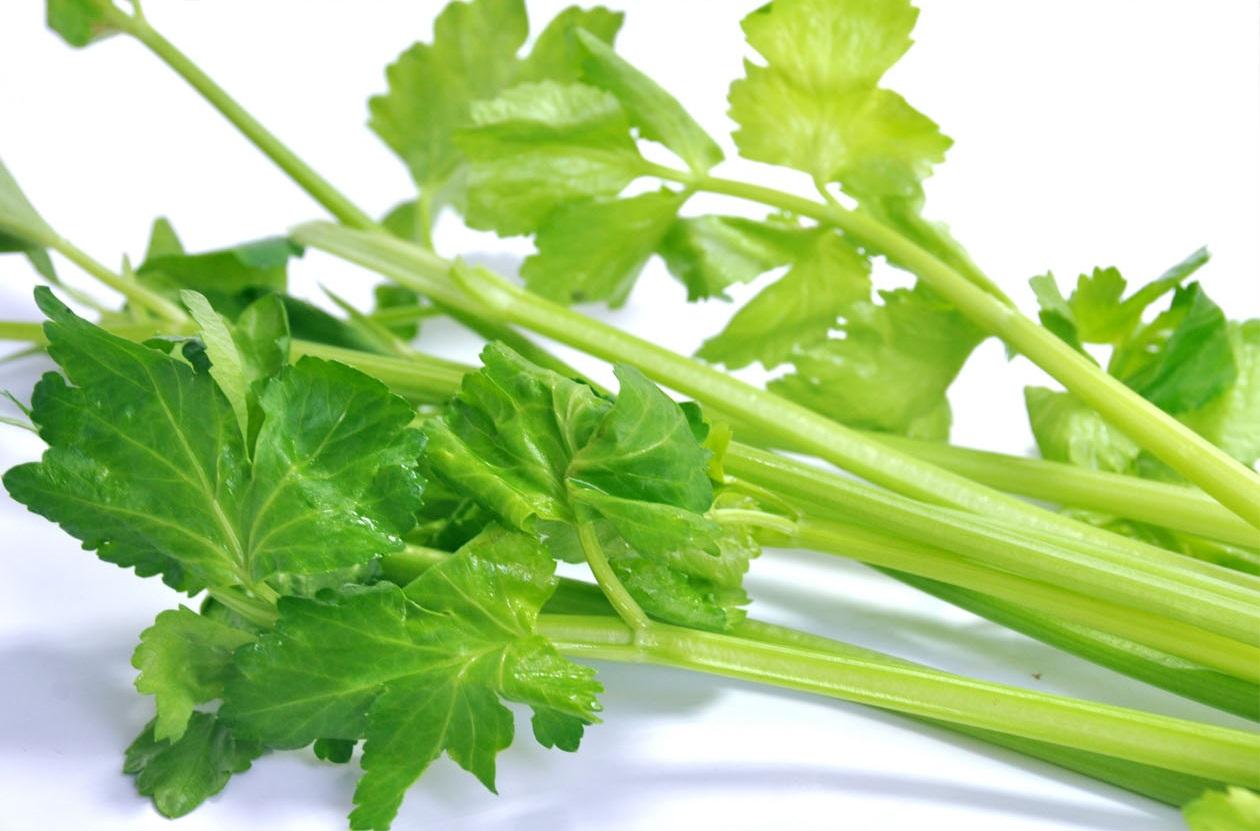 蔬菜是個(gè)寶，這些部位也更好！